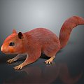 Squirrel Cartoon Squirrel Animation Squirrel Animation Squirrel Cartoon Characters Cartoon Animals Cartoon Small Animals 3d model