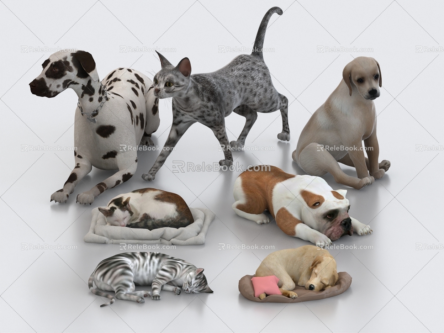 Pet Cat Pet Dog Sleeping Cat Sleeping Dog Kitten Puppy 3d model