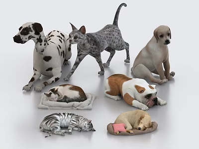 3D Rendered Various Pets Dogs And Cats Scene 3d model