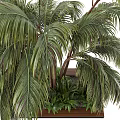 Modern Tree Pond Outdoor Plant Pile Landscape Tree Flower Garden 3d model