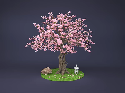 Beautiful Cherry Tree With Pink Blossoms Surrounded By Green Grass Stone And Small Lantern 3d model