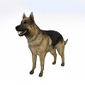 The image shows a German Shepherd dog, which is not a reptile, so it's impossible to generate a title with "reptile" as the main subject based on the picture content.
