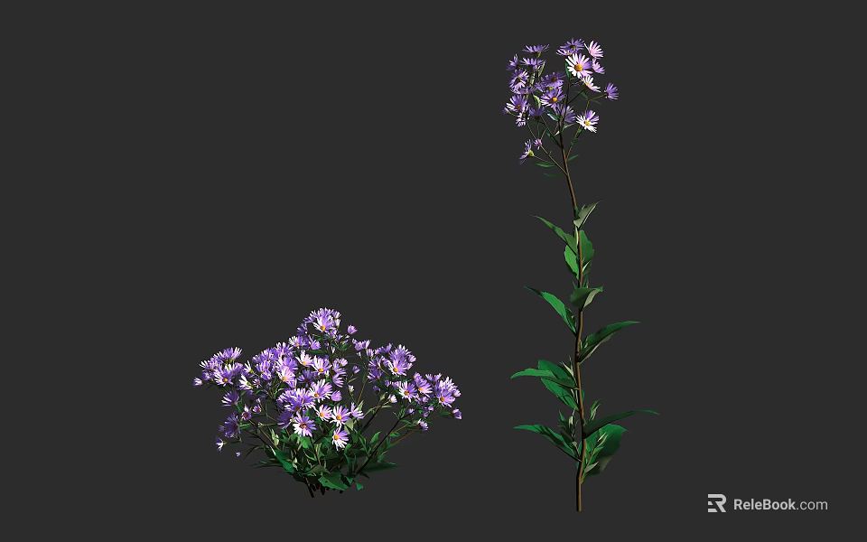 Lush Bushy Garden Shrub With Vibrant Purple Flowers And Green Leaves 3d model 