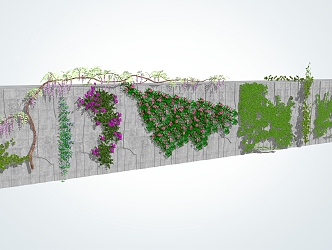 Modern Vines Climbing Wall Plants 3d model