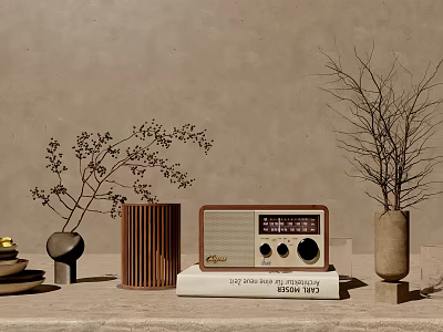 Stylish Decorative Ornament Set With Vintage Radio Vases Branches And Books On Tabletop 3d model