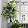 Various Potted Plants in Indoor Space with Diverse Flower Pots and Green Decorative Elements