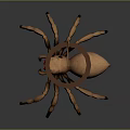 Brown Spider 3D Model With Eight Legs And Black Ring On Back 3d model