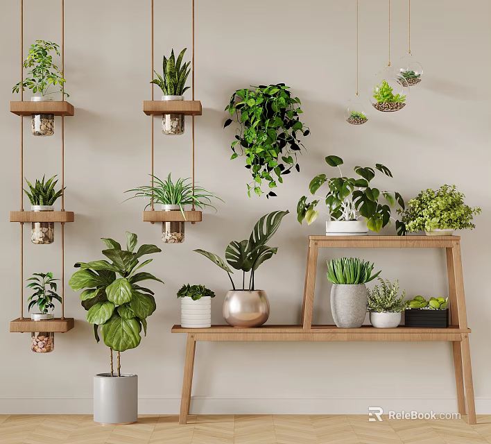 Indoor Hanging Basket Plants With Various Green Species On Wall And Wooden Shelf Decor 3d model 