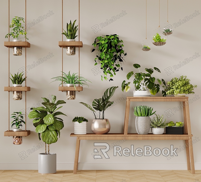 Modern Green Plant Potted Plant Combination Plant Potted Plant Indoor Green Plant Flower Potted Plant Fleshy model