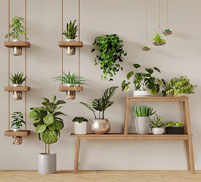 Indoor Hanging Basket Plants With Various Green Species On Wall And Wooden Shelf Decor 3d model