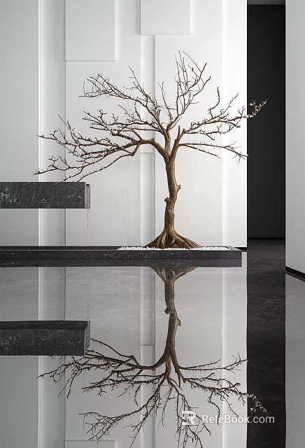 Bare Tree in Modern Interior with Black Base White Pebbles and Floor Reflection 3d model 