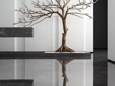 Bare Tree in Modern Interior with Black Base White Pebbles and Floor Reflection 3d model