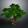 Floating Green Tree With Stones At Base And Gray Background