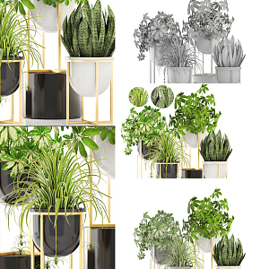 Modern potted plants 3d model