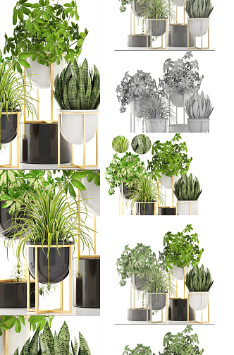 Modern potted plants 3d model