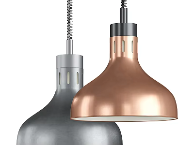 Two Gray And Copper Metallic Finish Dome Shaped Ceiling Lights With Metal Rods 3d model