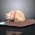 Artistic Brownish Cat Sculpture Lying On Platform With Small Card
