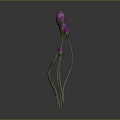 Cartoon Scene Featuring Curved Stem Plants With Pink Spherical Flowers On Grey Background
