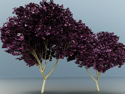 Two Bonsai Plants With Purple Leaves And Slender Trunks On Light Blue Background 3d model