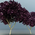 Two Bonsai Plants With Purple Leaves And Slender Trunks On Light Blue Background