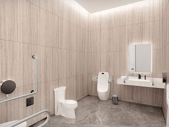 Modern toilet disabled 3d model