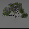 Vibrant Plant Featuring Purple Flowers Lush Green Leaves And Brown Branches