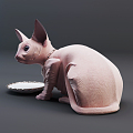 The Modern Cat 3d model