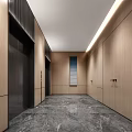 Modern Elevator Hallway With Wooden Panel Walls Marble Flooring And Ceiling Lighting 3d model
