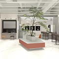 Modern Mall Store Interior Design With Indoor Tree Tables And Display Counter 3d model