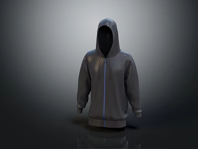 Gray Zip Up Hoodie With Modern Design And Long Sleeve Casual Style 3d model