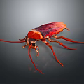 Red and Brown Cockroach With Long Antennae And Legs On Dark Background