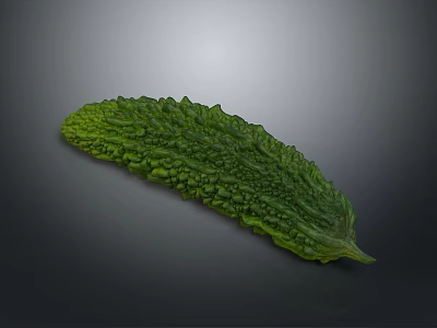 Fresh Green Bitter Gourd With Bumpy Surface Isolated On Dark Background 3d model