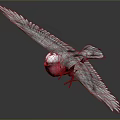 Flying Bird With Pink Chest Gray Wings And White Head Against Dark Background