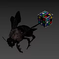 Bumblebee With Yellow Thorax And Colorful Rubik's Cube
