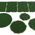 Green Turf With Small Flowers In Various Shapes For Natural Garden Decor