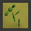 Green Cactus Plants of Different Sizes on Yellow Base with Gray Background