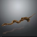 Realistic Brown Snake Coiled Gracefully on Dark Background with Clear Reflection
