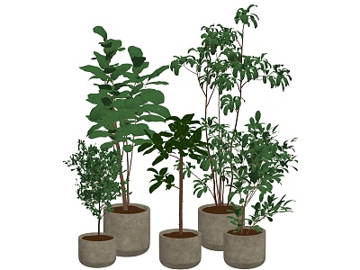 Modern potted plant green plant bonsai plant potted combination model