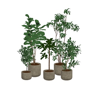 Modern potted plant green plant bonsai plant potted combination 3d model