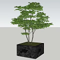 Black Square Tree Planter Box With Green Leafy Tree And Grass Base Design
