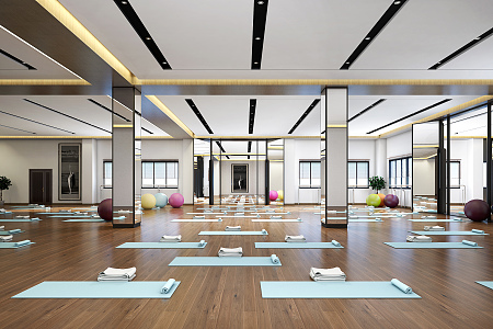 Modern Yoga Room 3d model