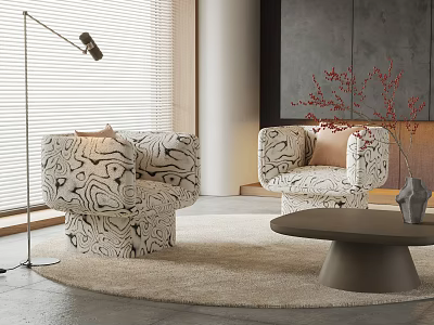 Modern Accent Chairs With Abstract Black White Pattern Rounded Design Light Colored Rug Floor Lamp 3d model