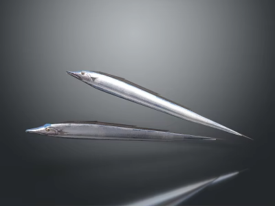 Two Sleek Silver Fish with Elongated Bodies on Dark Background and Reflection 3d model