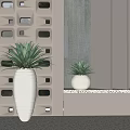 Bonsai Potted Succulent Plants In White Pots On Geometric Decorative Wall Shelf