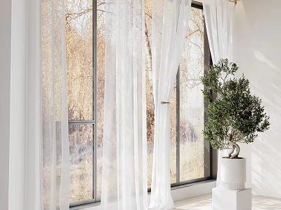 Elegant Sheer White Curtains in Modern Interior with Large Windows Natural Light and Olive Tree 3d model