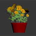 Potted Plant With Yellow Flowers And Green Leaves In Red Pot