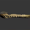 Ancient Marine Ammonite Fossil With Spiral Shape And Detailed Ridges On Dark Background