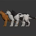 Orange White Black Gray and Brown Cats Standing on Dark Reflective Surface 3d model