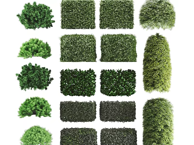 Different Types Of Green Garden Shrubs With Various Shapes And Foliage 3d model