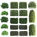 Different Types Of Green Garden Shrubs With Various Shapes And Foliage